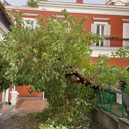 Guest house B-montedidio